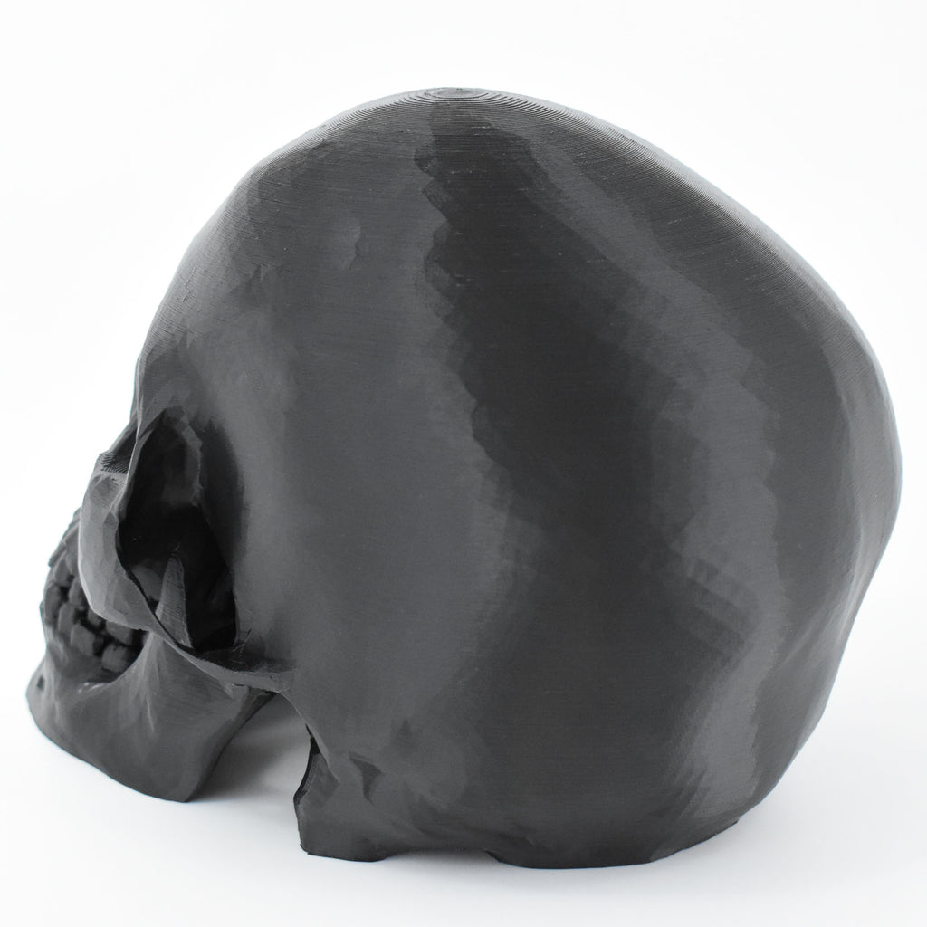Human Skull Headphone Stand