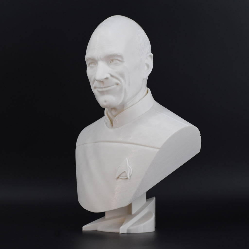 Captain Picard Bust