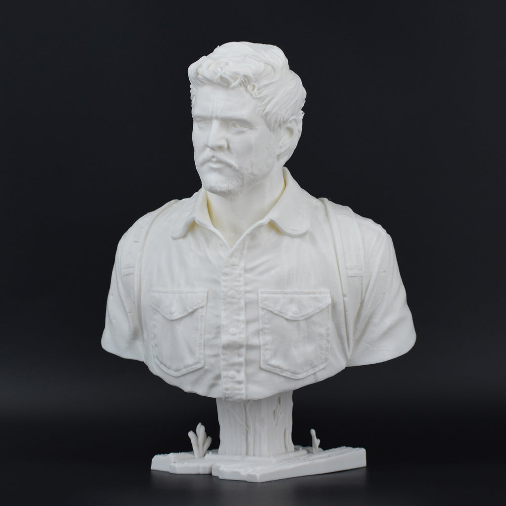 Pedro Pascal - Joel - The Last of Us | 3D Print Model